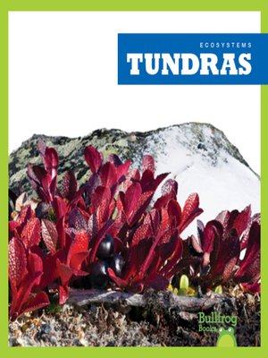 cover image of Tundras